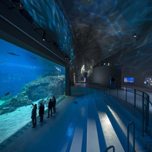 National Aquarium Denmark 