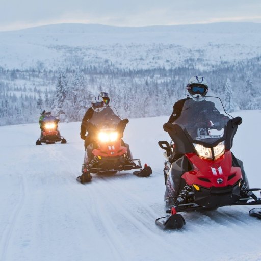 Snowmobiling in Swedish Lapland