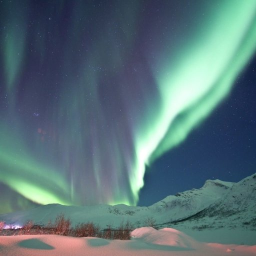 About the Northern Lights